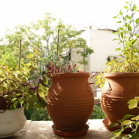 Acropolis House Atenas